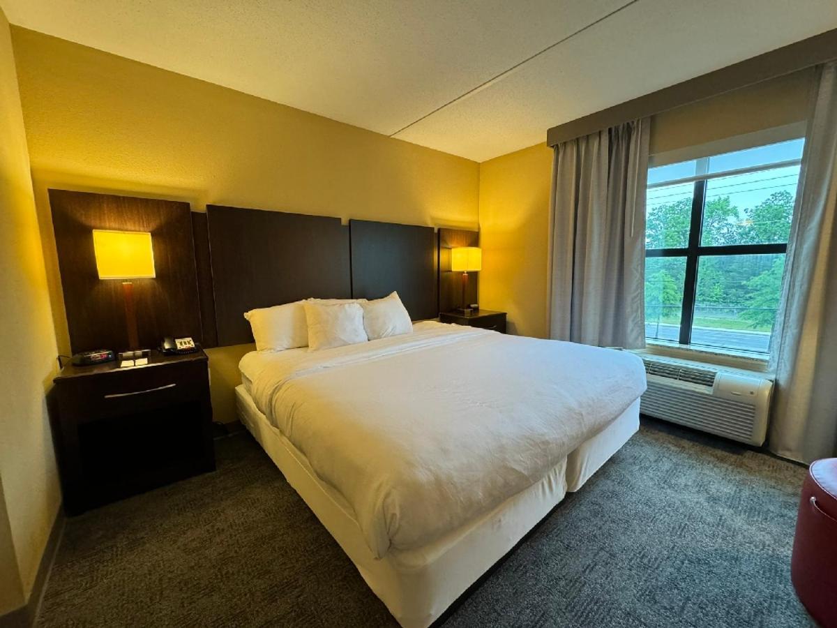 לקסינגטון פארק Comfort Inn & Suites מראה חיצוני תמונה