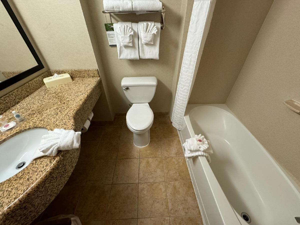 לקסינגטון פארק Comfort Inn & Suites מראה חיצוני תמונה