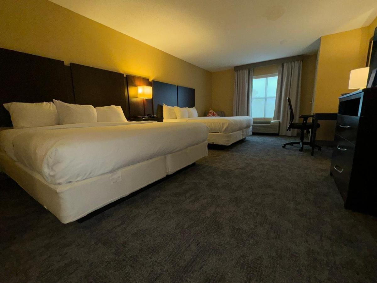 לקסינגטון פארק Comfort Inn & Suites מראה חיצוני תמונה