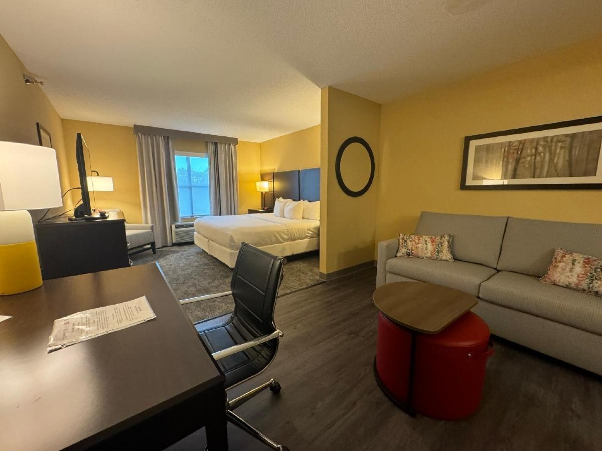 לקסינגטון פארק Comfort Inn & Suites מראה חיצוני תמונה
