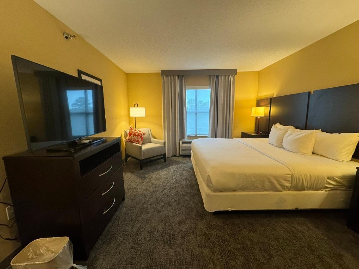 לקסינגטון פארק Comfort Inn & Suites מראה חיצוני תמונה