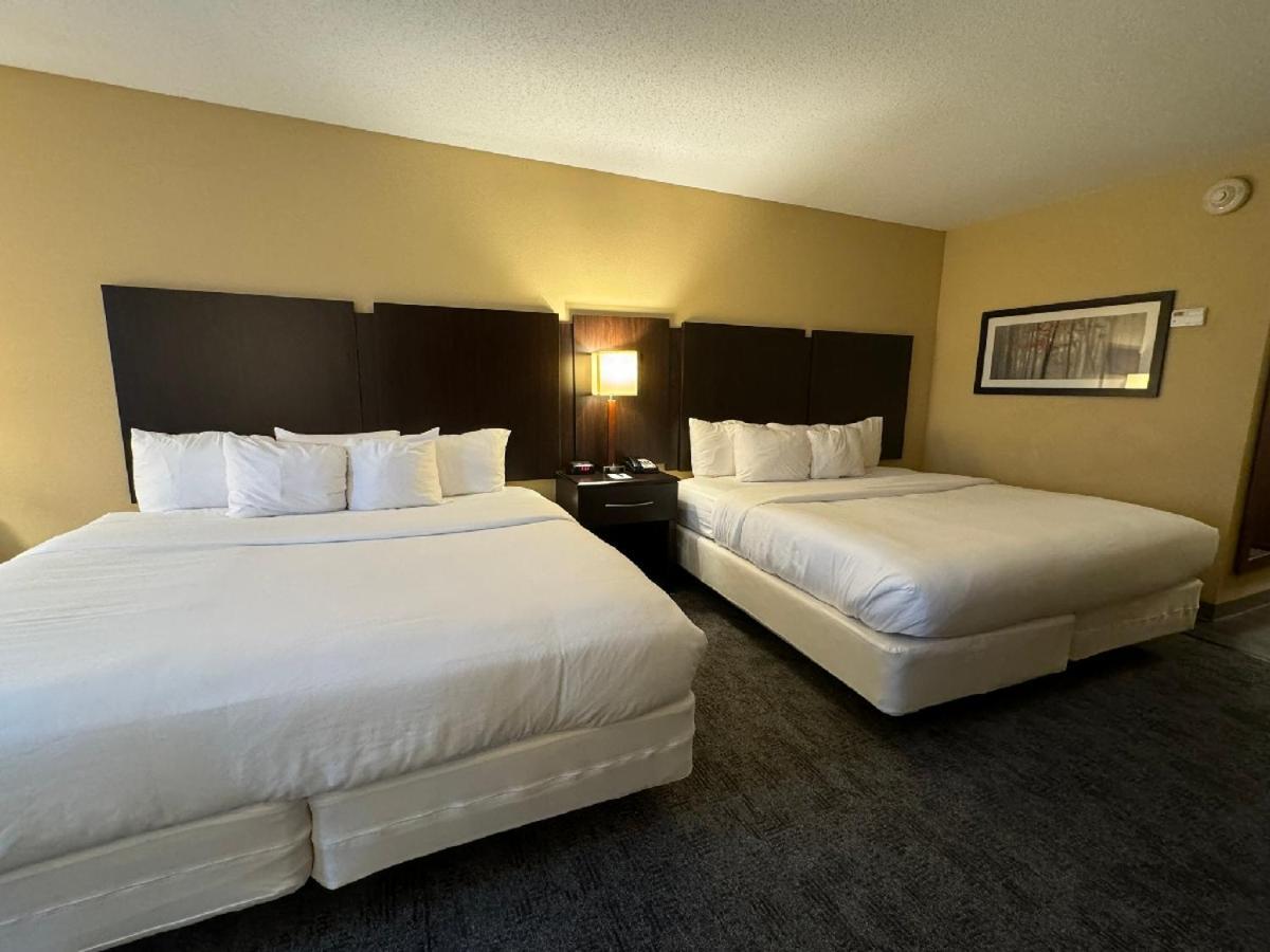 לקסינגטון פארק Comfort Inn & Suites מראה חיצוני תמונה