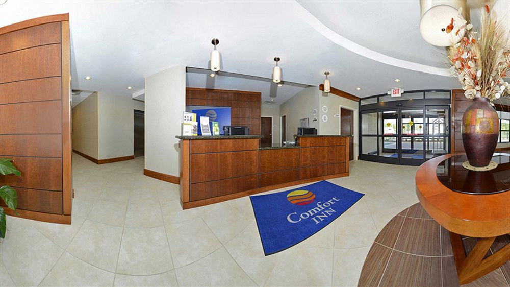לקסינגטון פארק Comfort Inn & Suites מראה חיצוני תמונה
