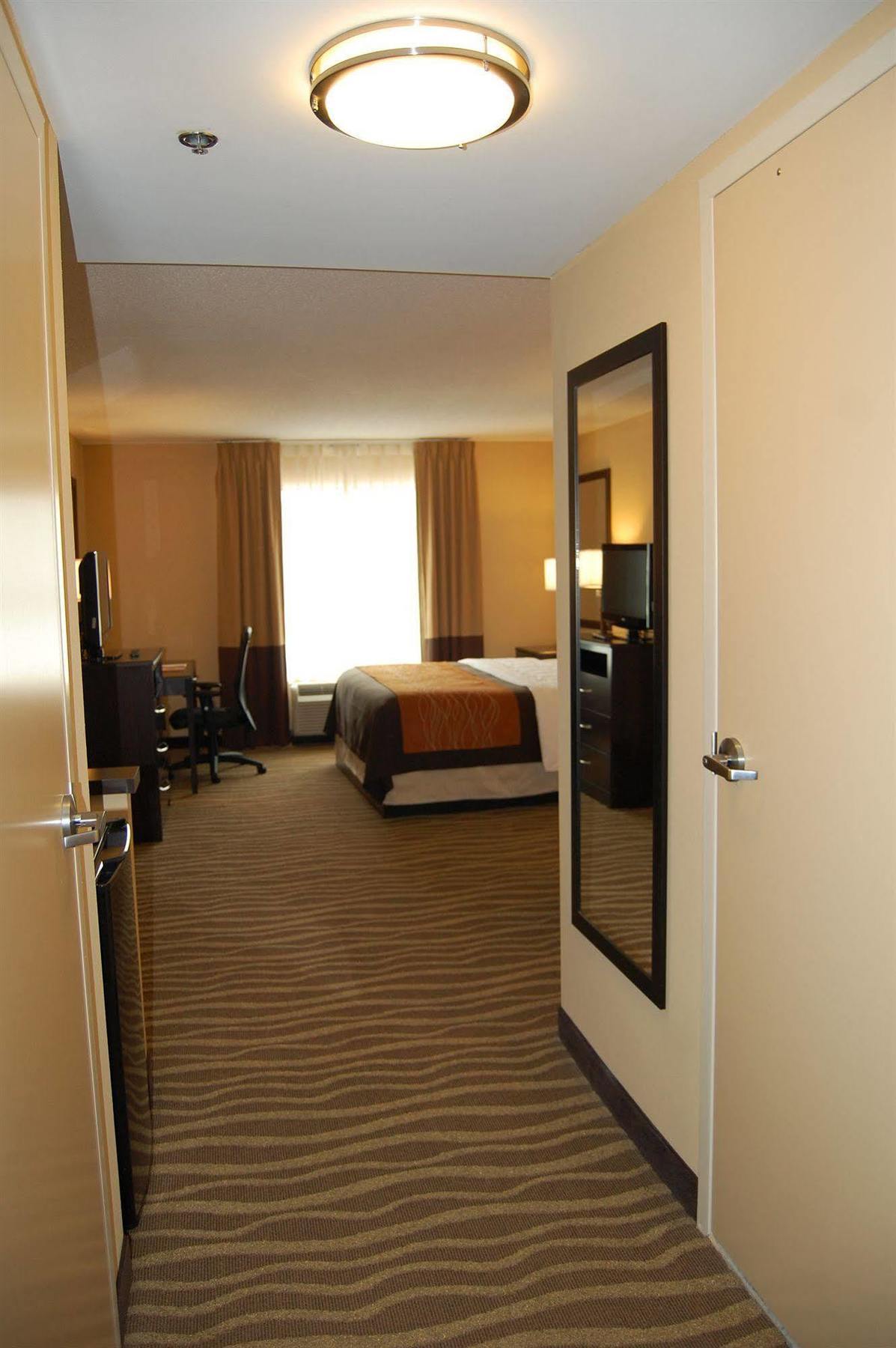 לקסינגטון פארק Comfort Inn & Suites מראה חיצוני תמונה
