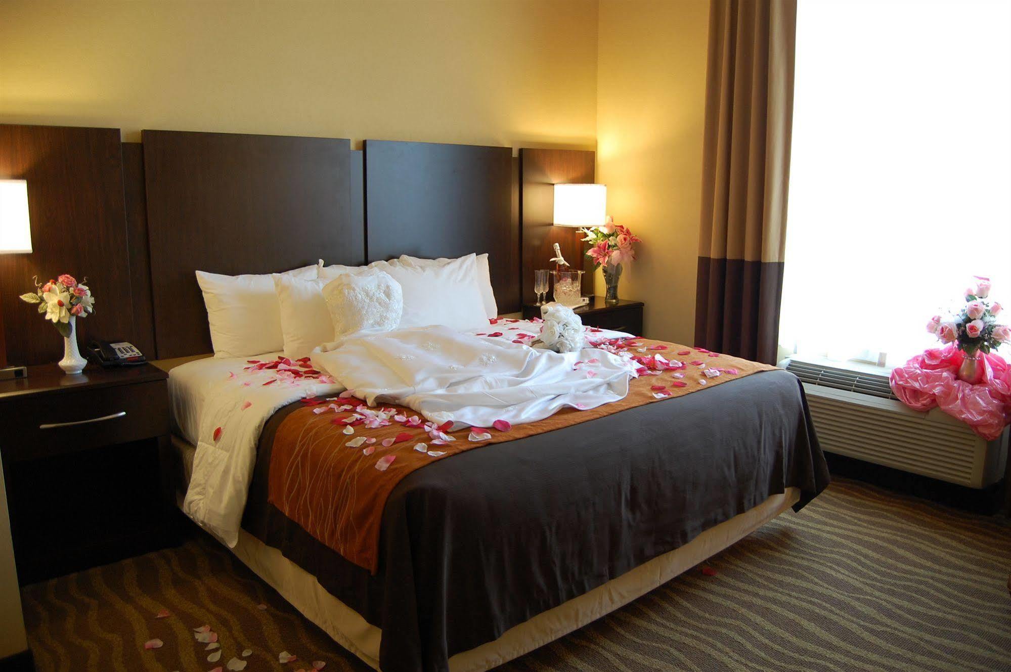 לקסינגטון פארק Comfort Inn & Suites מראה חיצוני תמונה